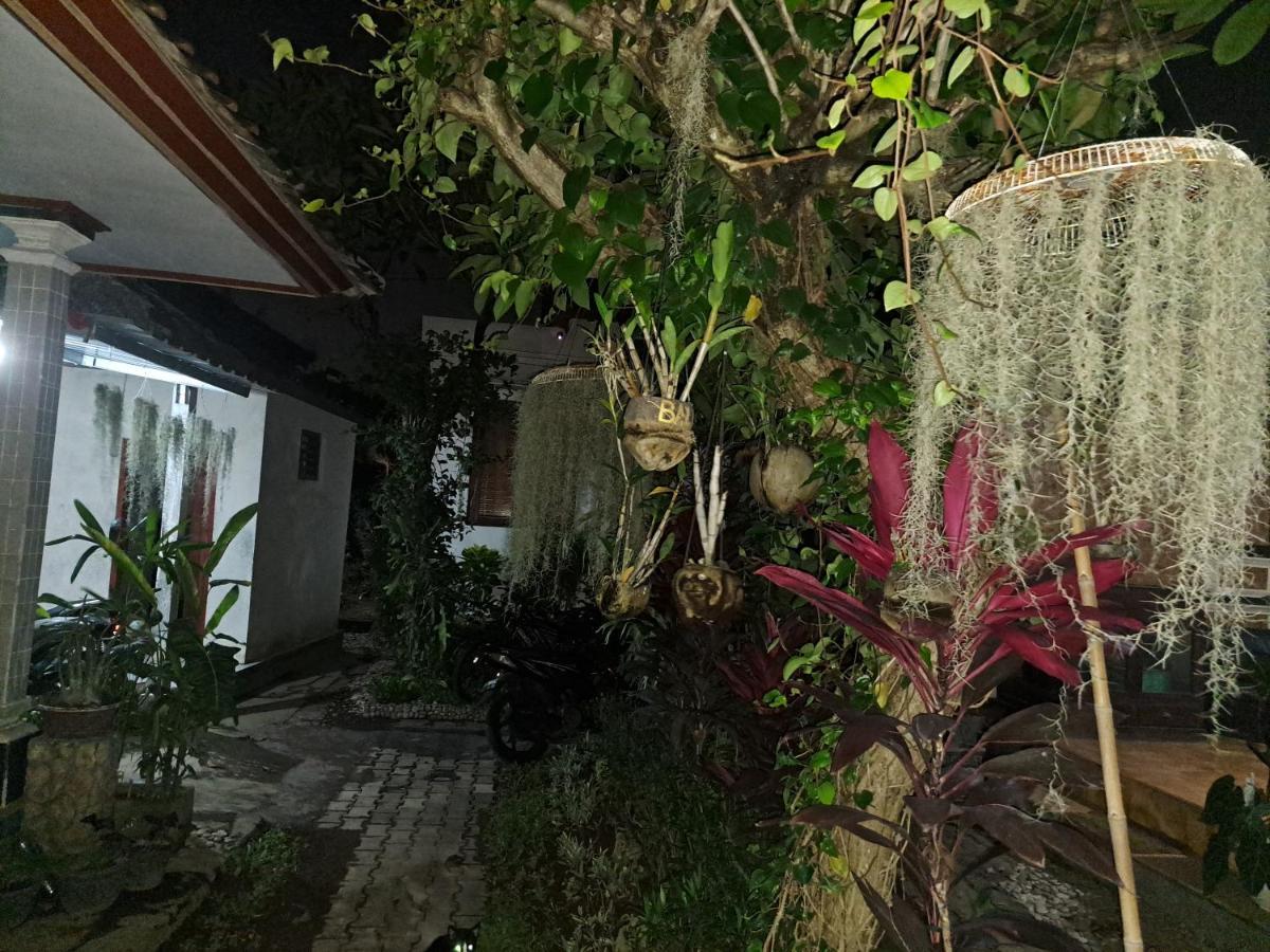 Ascarya Guest House Sanur Exteriér fotografie