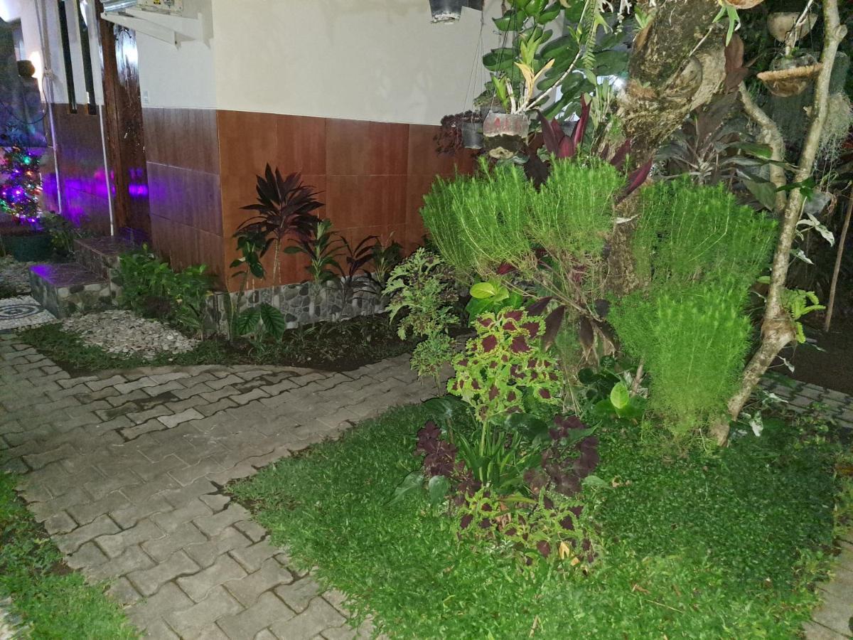 Ascarya Guest House Sanur Exteriér fotografie