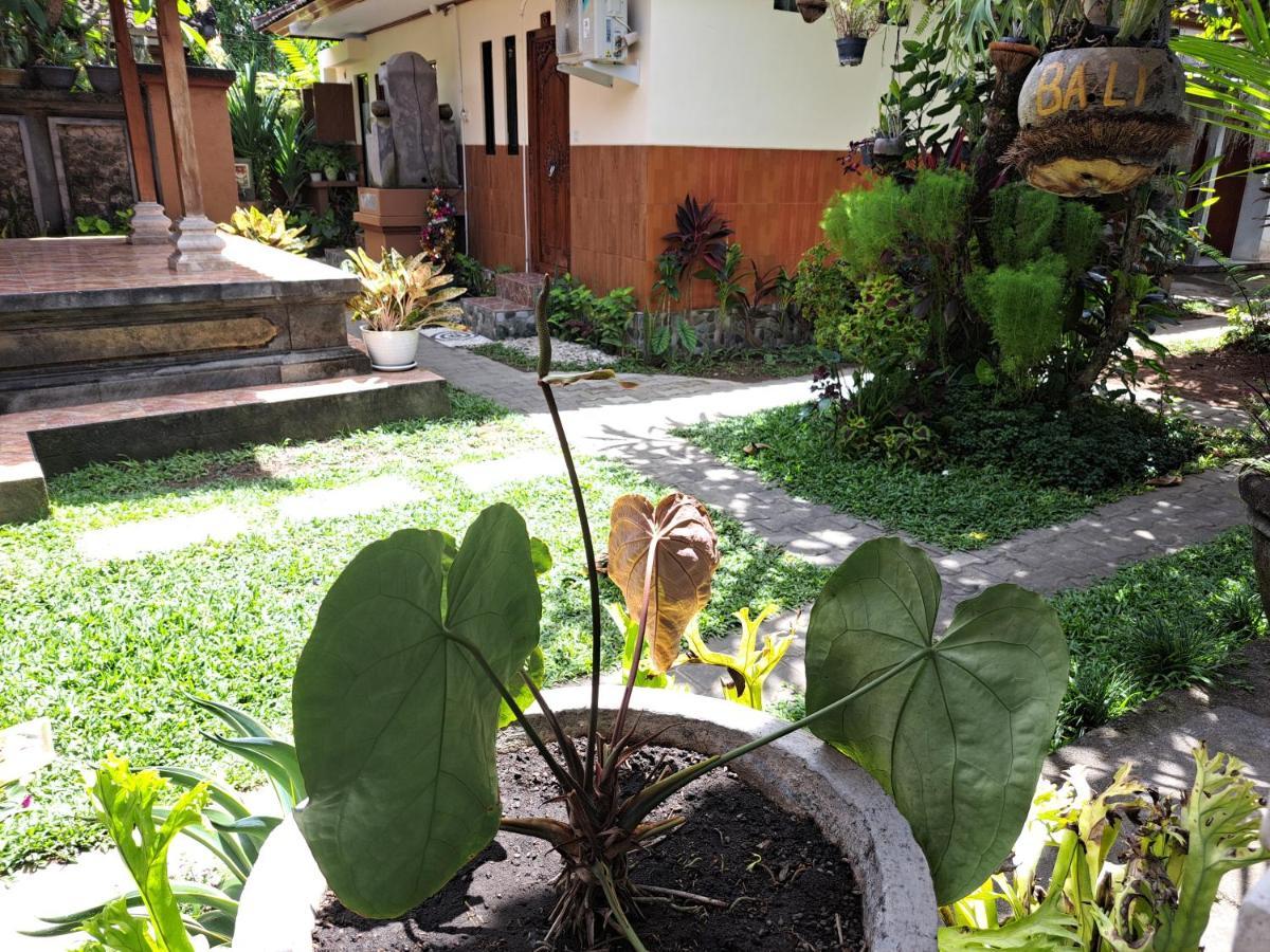 Ascarya Guest House Sanur Exteriér fotografie